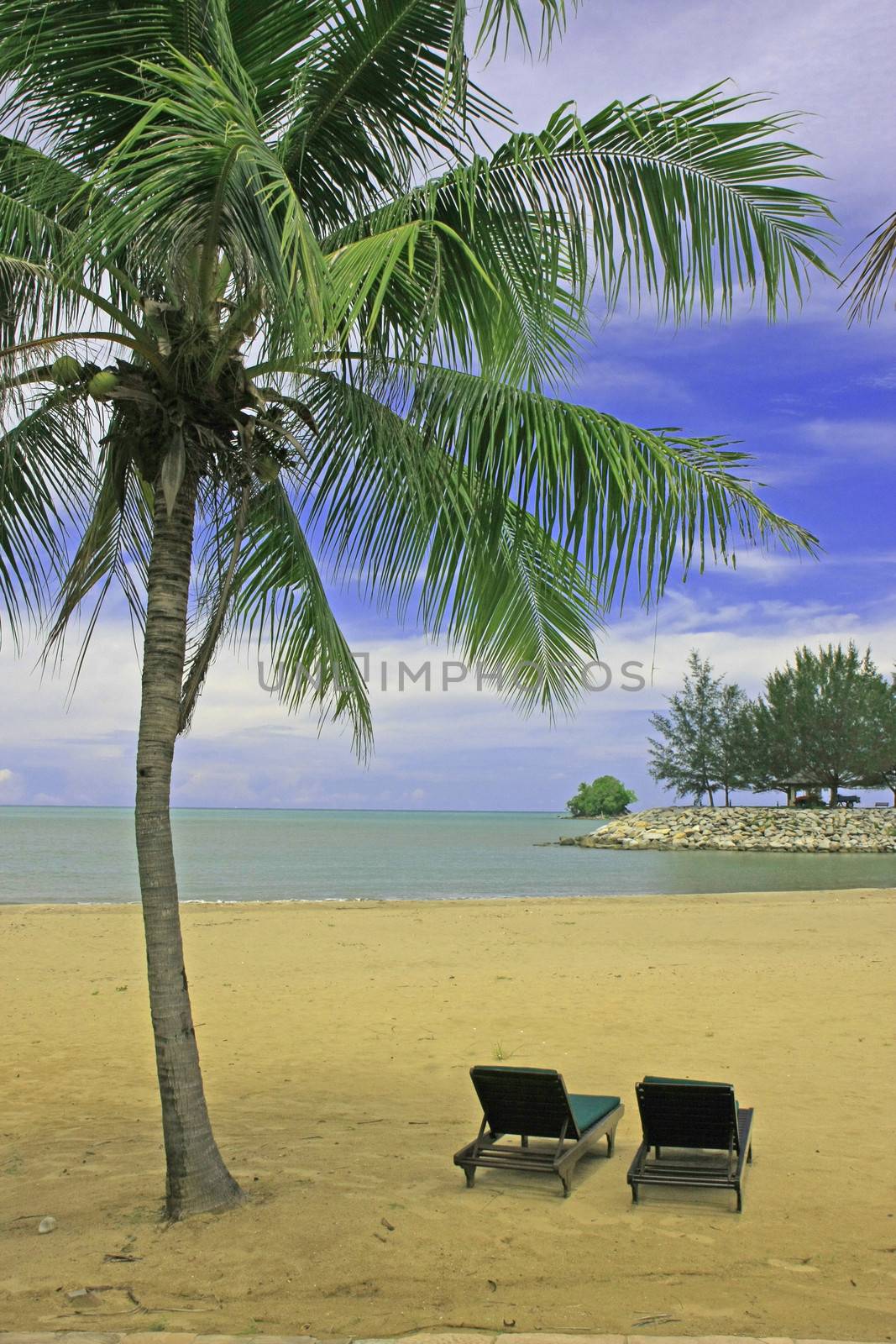 Sandy beach with sun chairs and palm trees