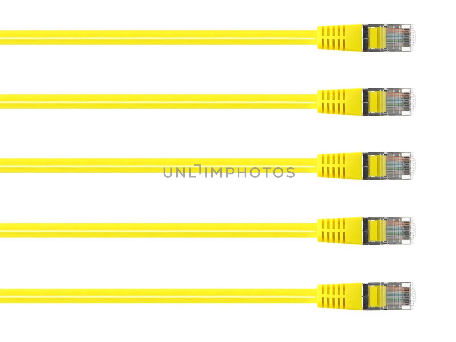 Ethernet cables isolated against a plain background