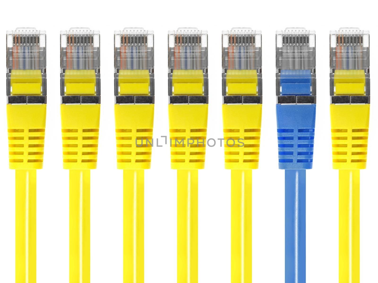 Ethernet Cable by Kitch