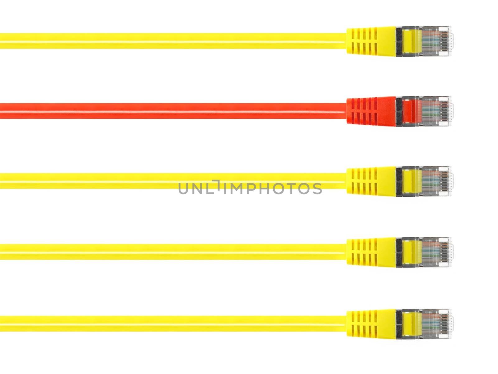 Ethernet cables isolated against a plain background