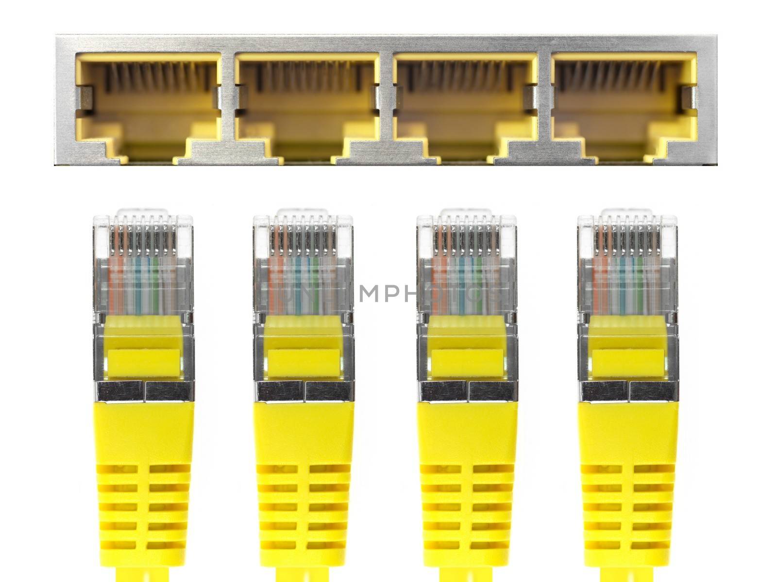 Ethernet cables isolated against a plain background