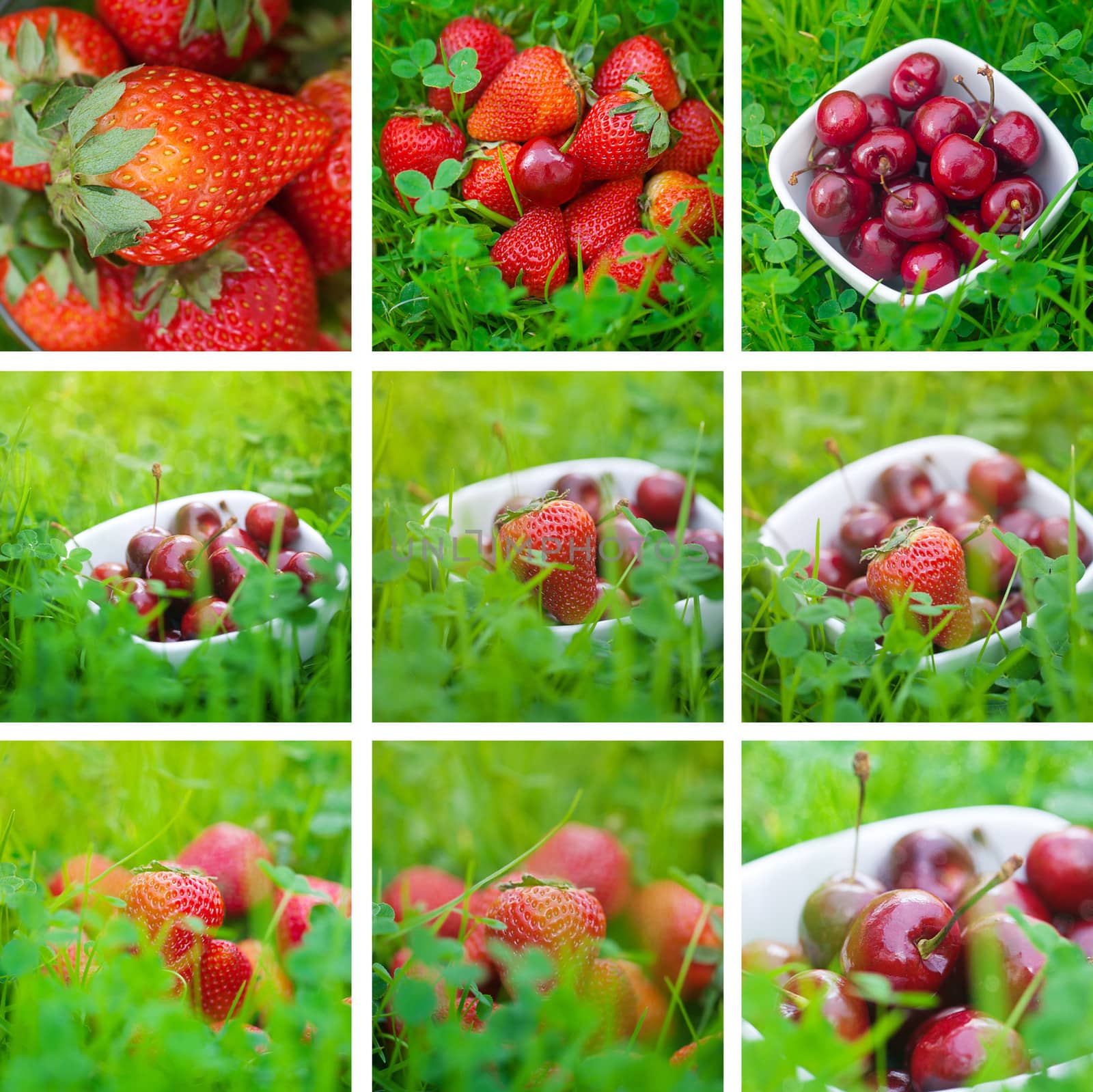 collage of cherries and strawberry on green grass by jannyjus