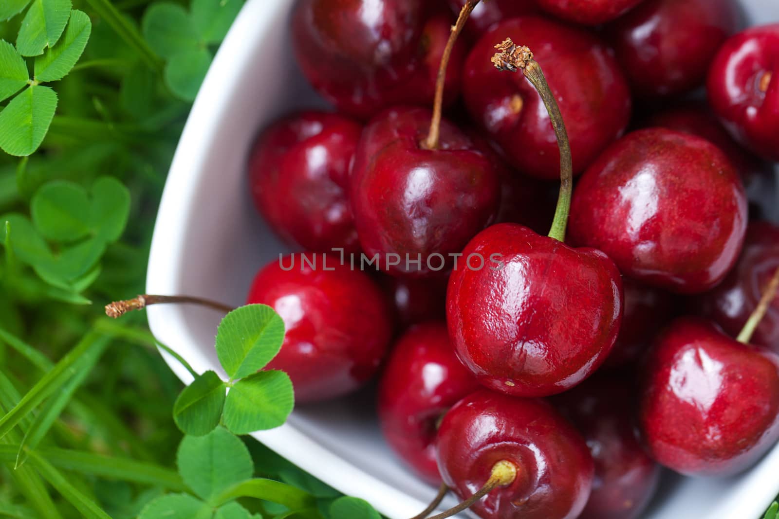 Cherries in a ceramic bowl on green grass by jannyjus