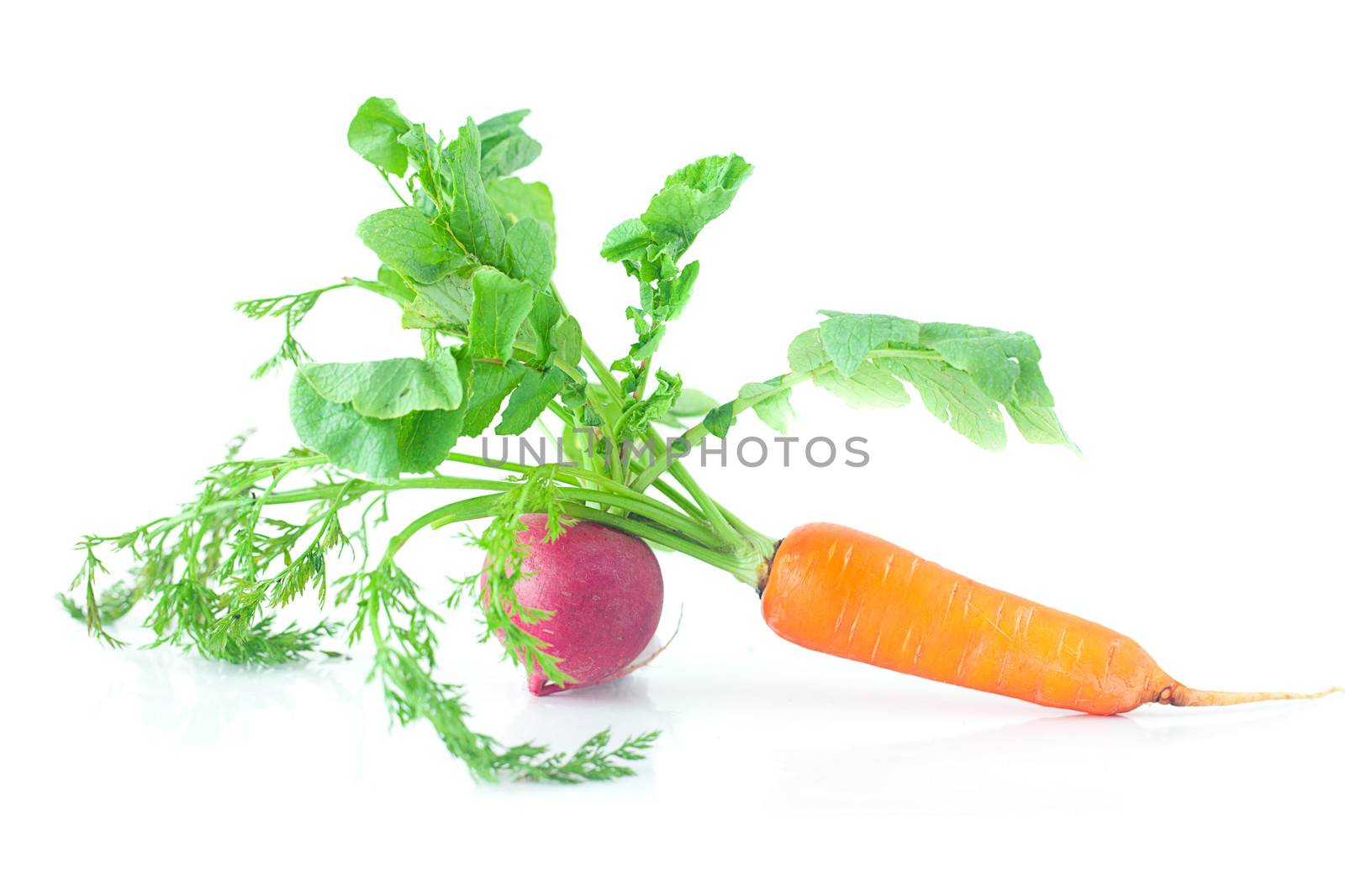 bunch of carrots with green leaves and radish isolated on white by jannyjus