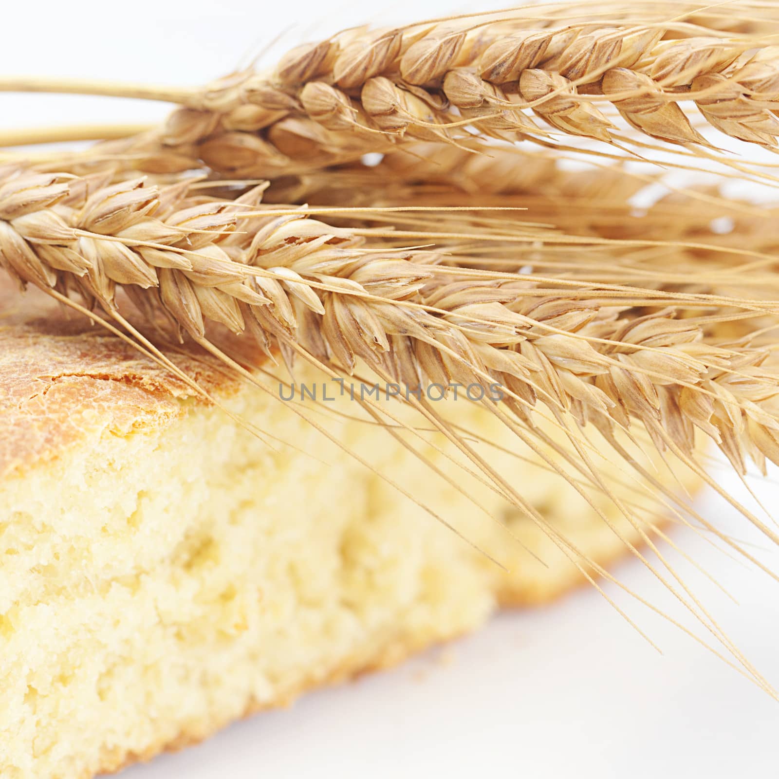 bread and spikes isolated on white