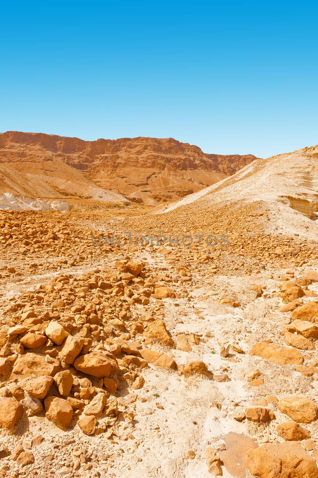 Stone Desert on the West Bank of the Jordan River