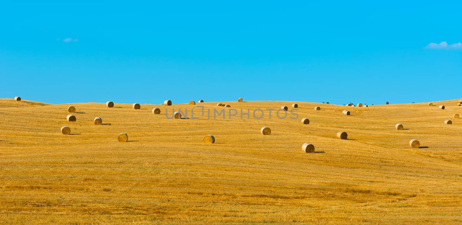 Tuscany Landscape with Many Hay Bales 