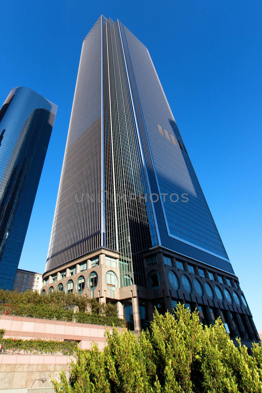 Modern skylines in downtown, Los Angeles, California, USA