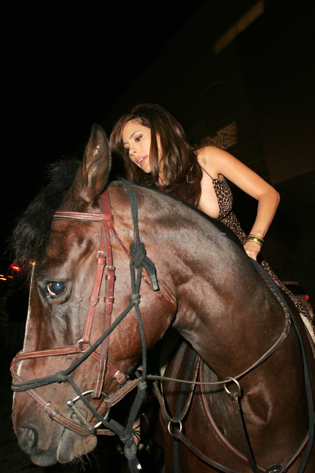 Kerri Kasem and her horse "Playboy" arriving on Sunset Blvd. at the In Touch Pets and their Stars Party with her horse "Playboy," Cabana Club, Hollywood, CA 09-21-05