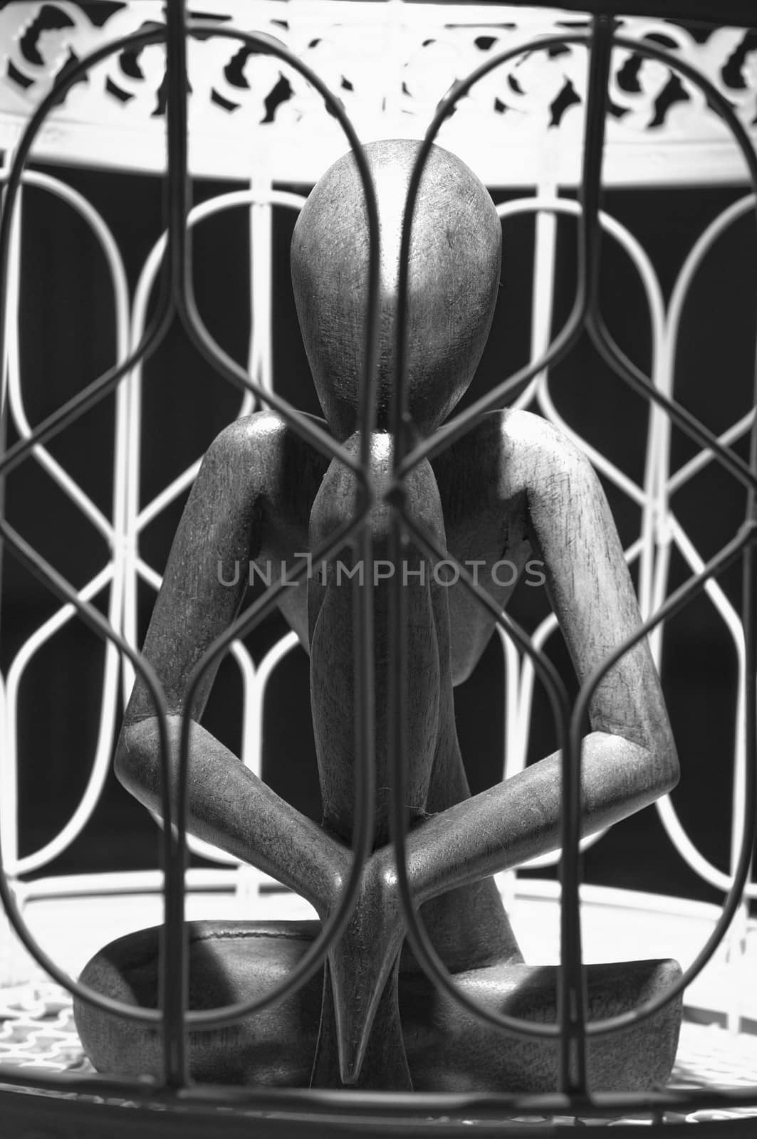 Wooden figurine in a cage