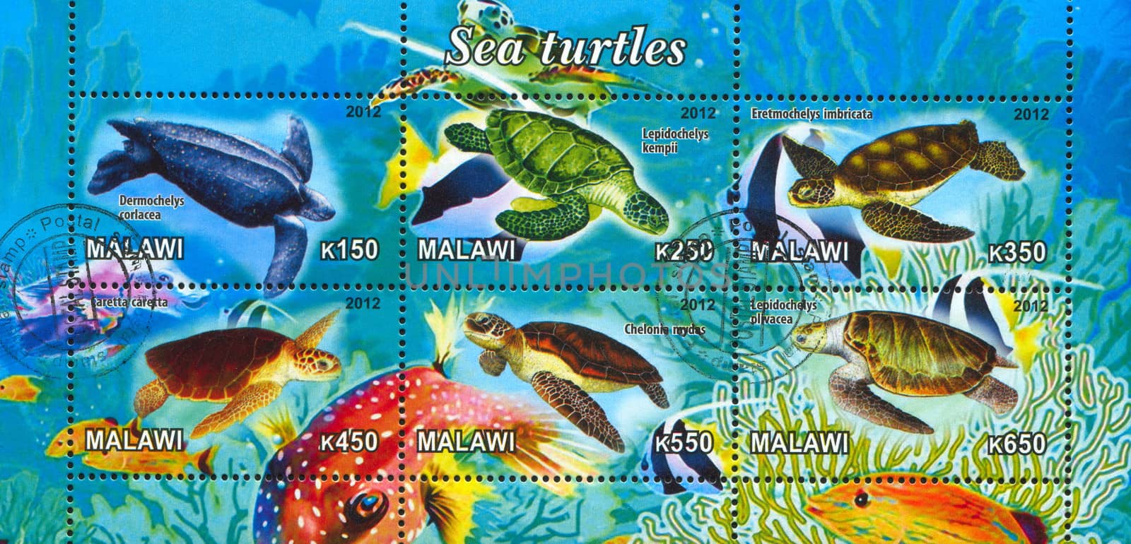 MALAWI - CIRCA 2012: stamp printed by Malawi, shows sea turtle, circa 2012