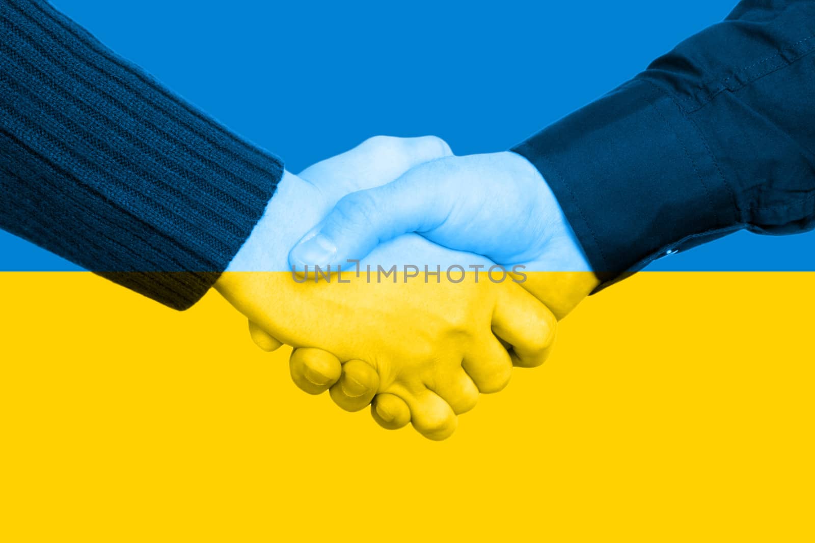 Handshake and Ukrainian Flag by sabphoto