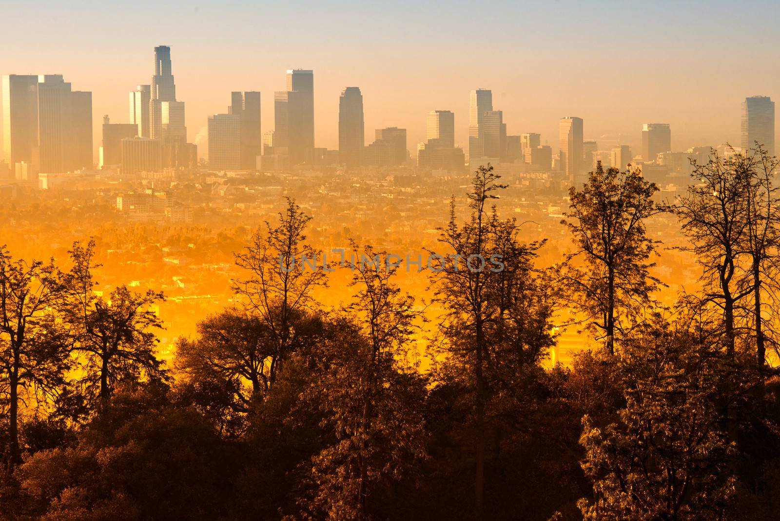 Downtown Los Angeles as seen from the Griffith Observatory by CelsoDiniz