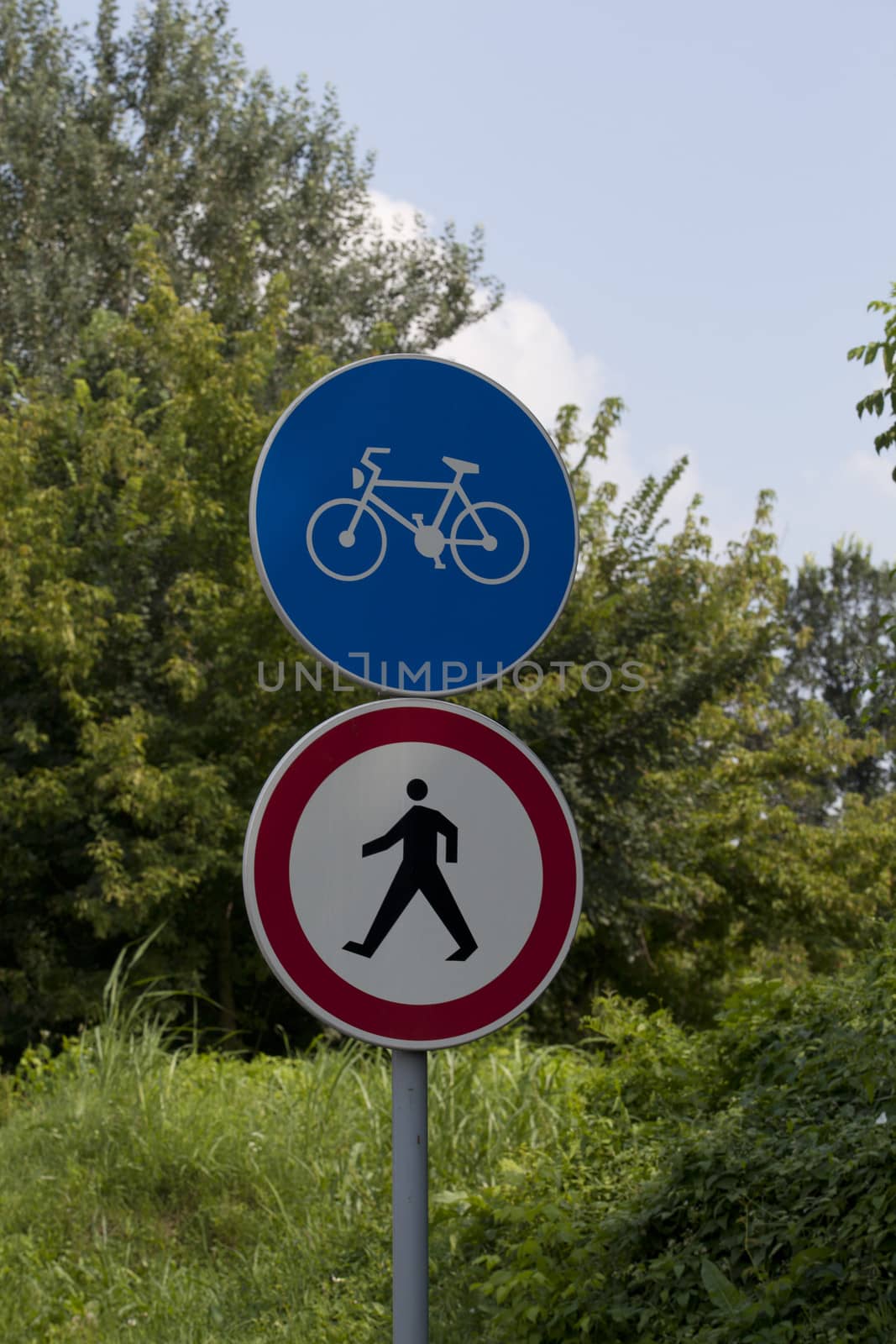 Bicycle path by wellphoto