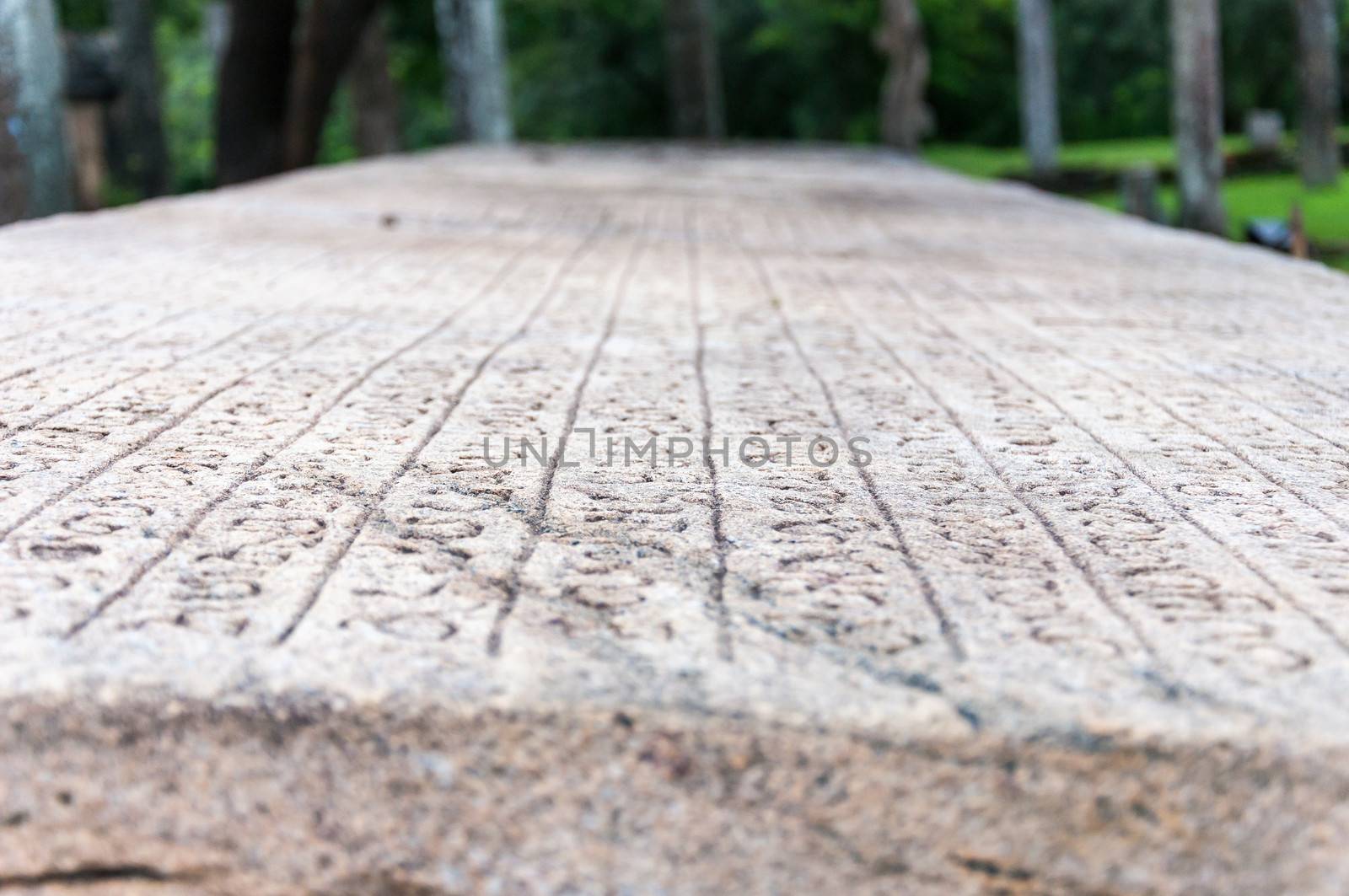 Stone Book Gal Pota in ancient city of Polonnaruwa, Sri Lanka. Shallow depth of field