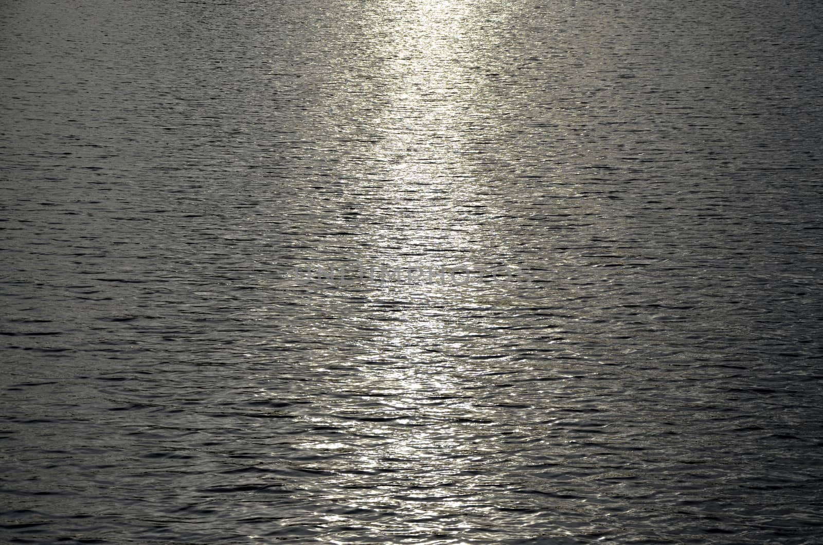  The reflection of the light of the sun on the water surface of the lake