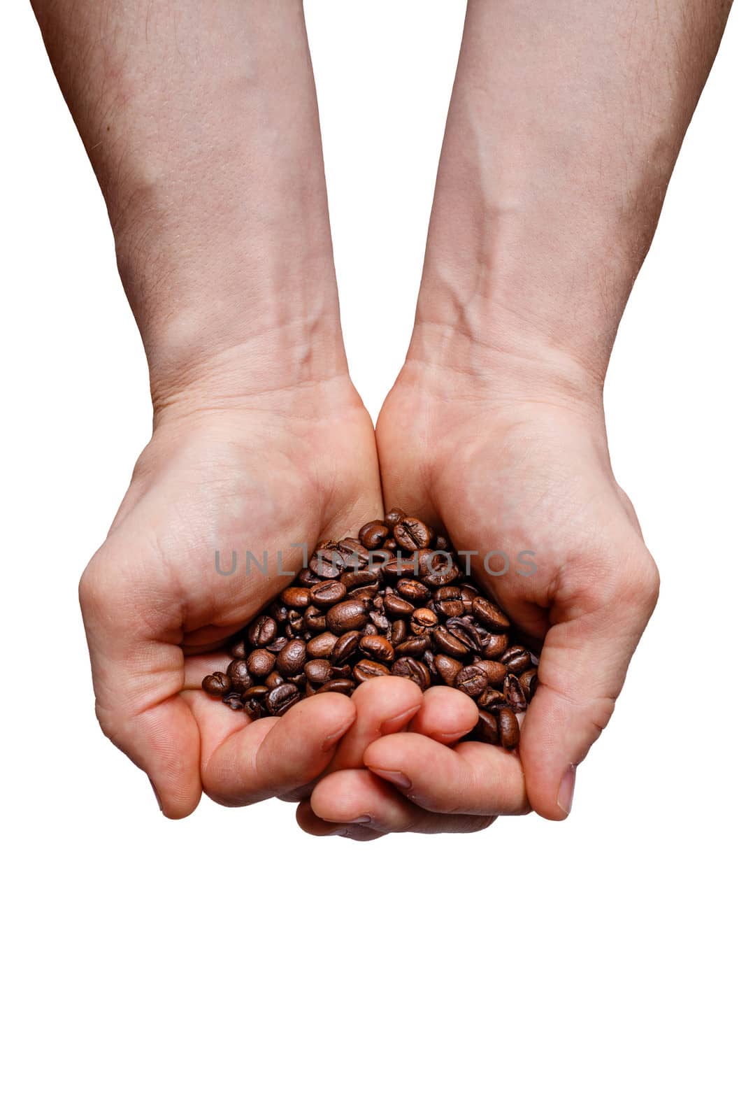 Hands holding coffee beans by Vagengeym