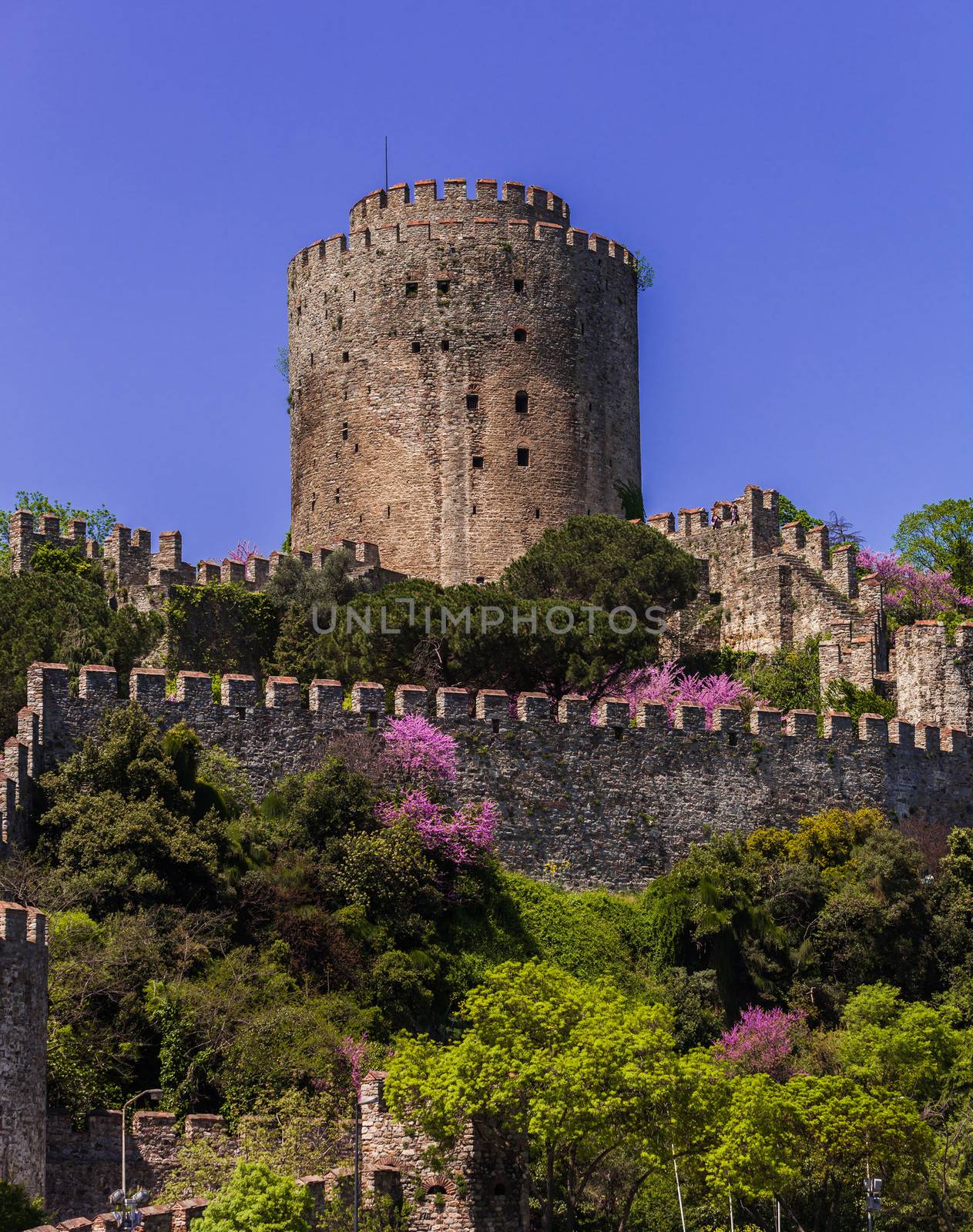 Rumelian Castle by Creatista