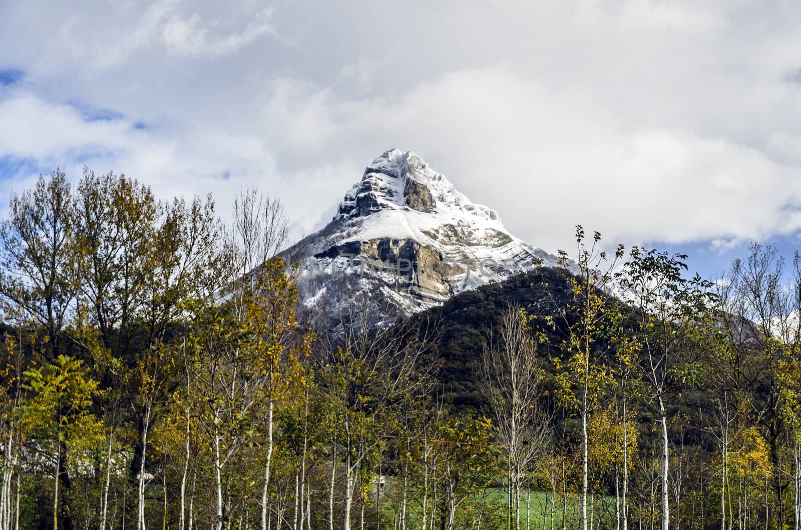 Beautiful look at the mountain, in wither, covered with snow