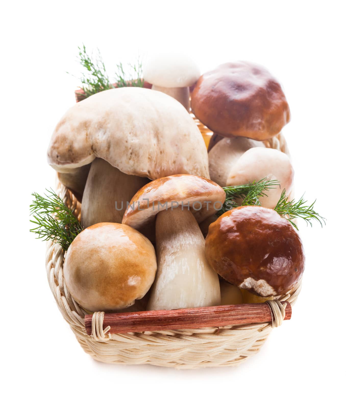 Ceps in the basket by oksix