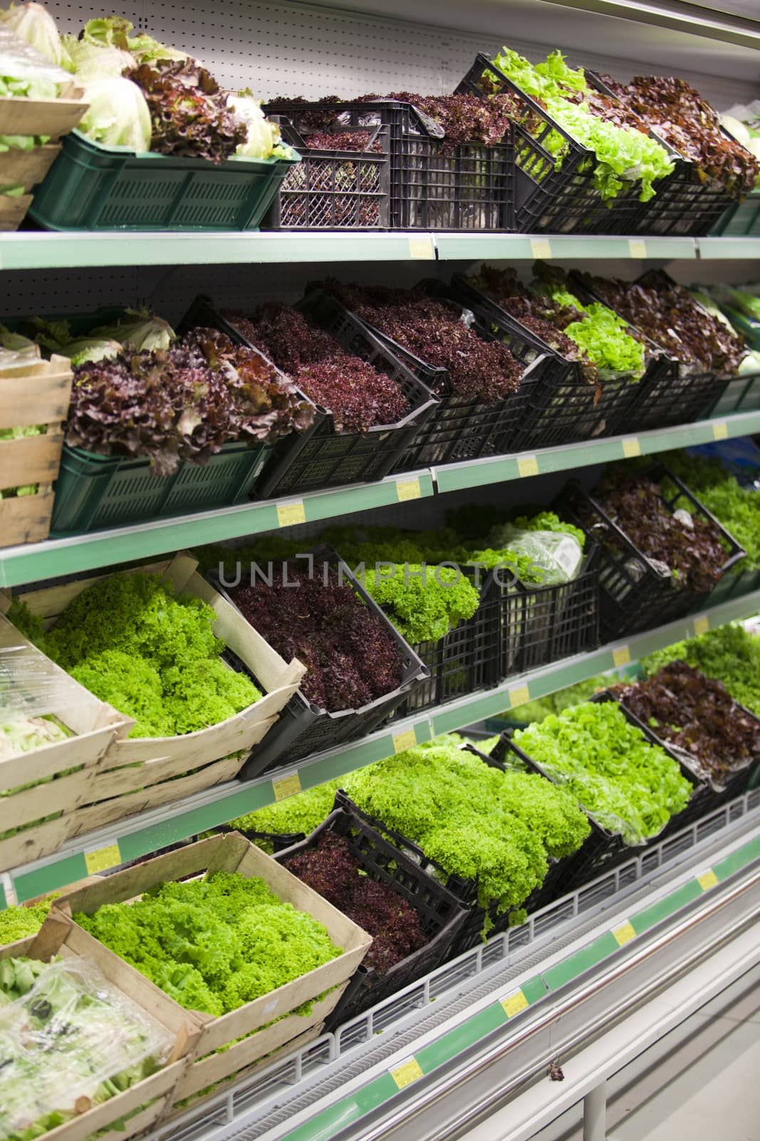 Lettuce section in a grocery store