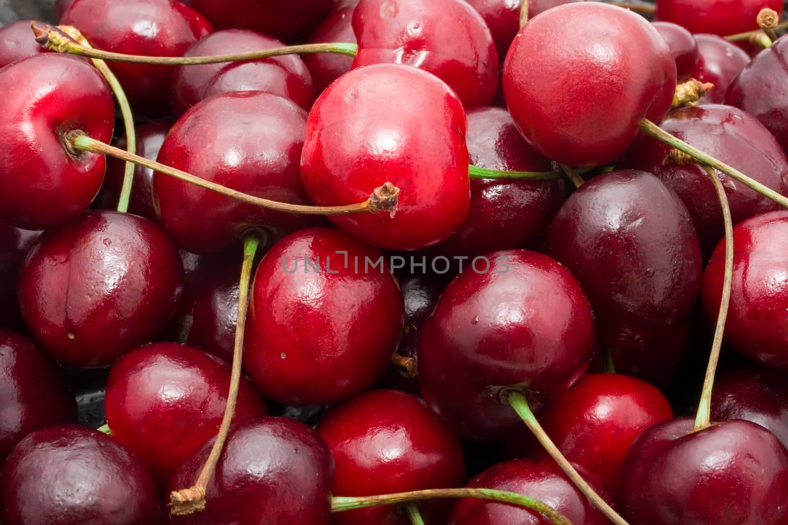 Beautiful red fresh cherry macro photo background