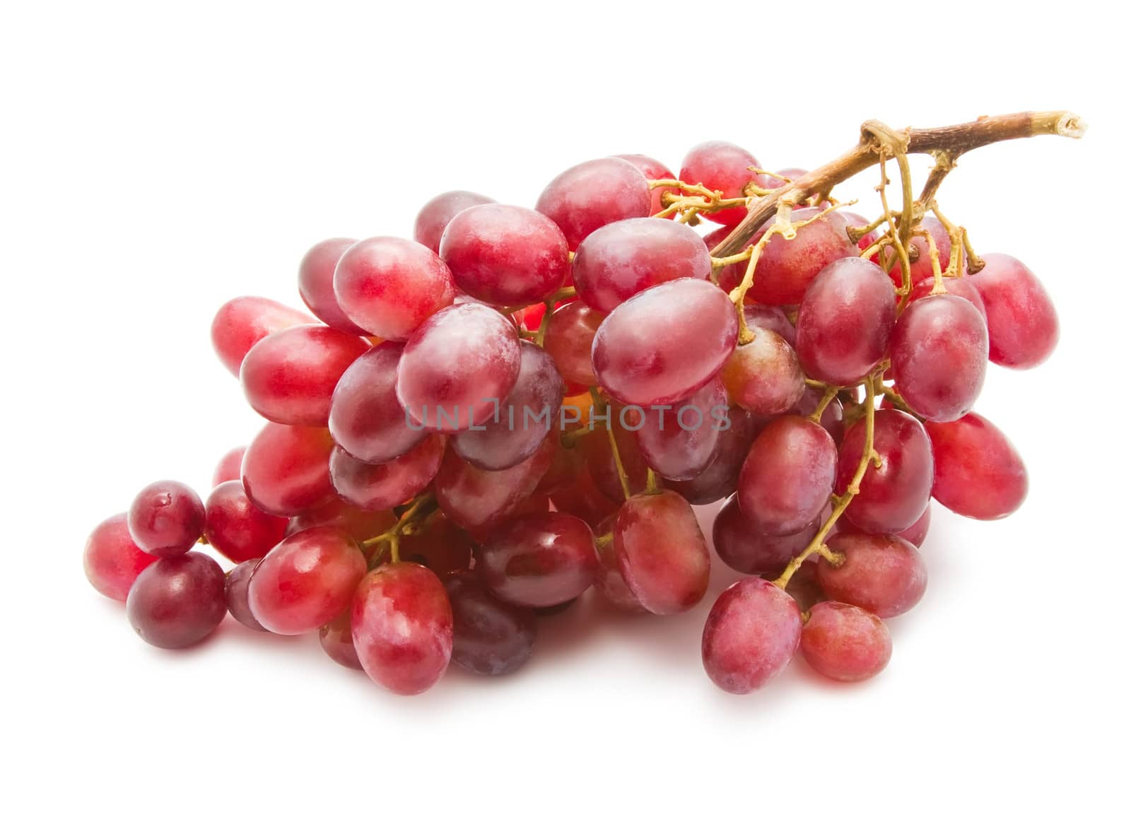 Branch of grapes isolated on white background