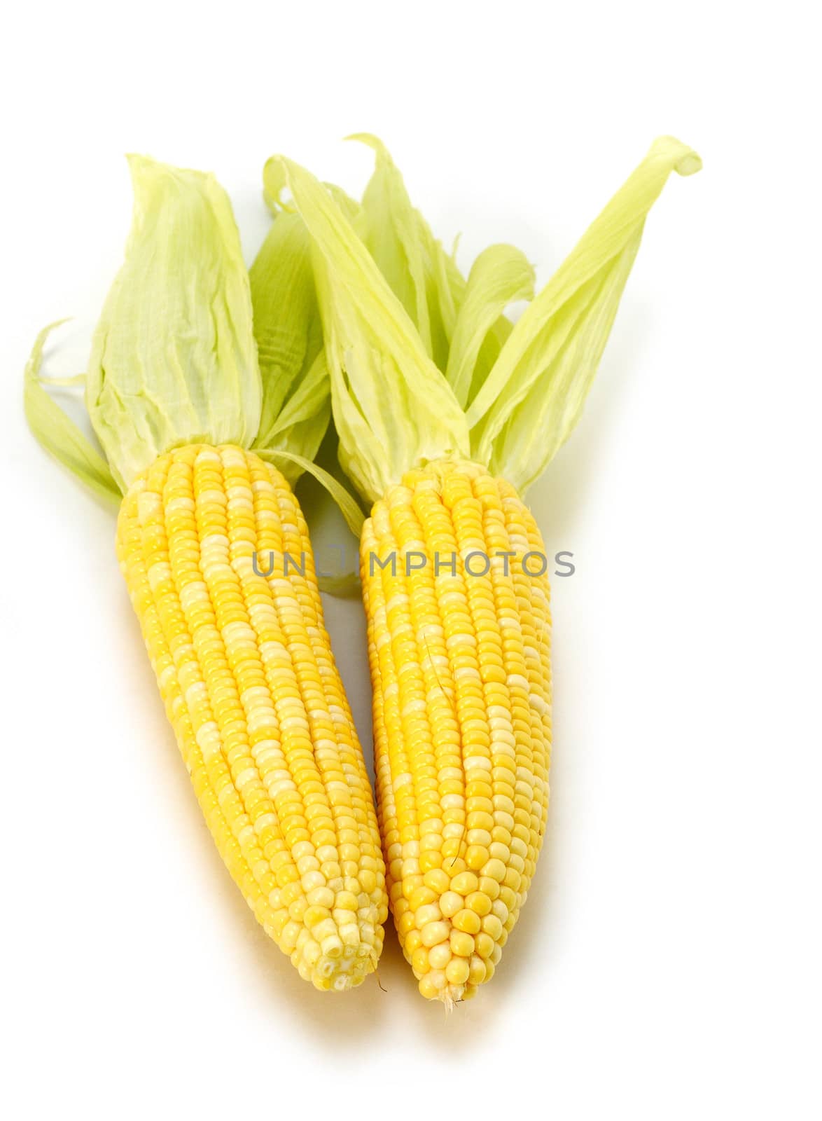 Sweet corn isolated on white background