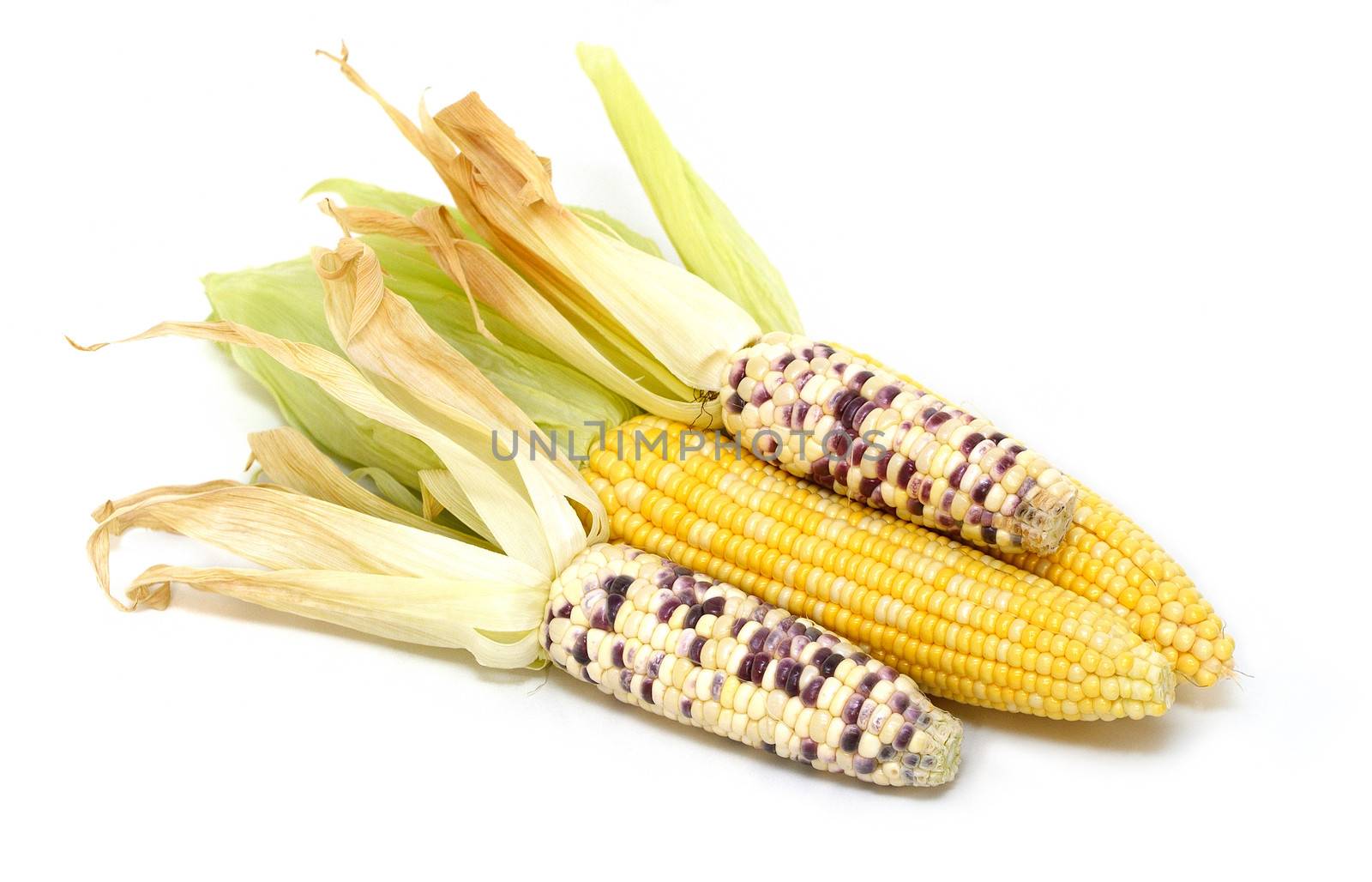 Sweet corn isolated on white background