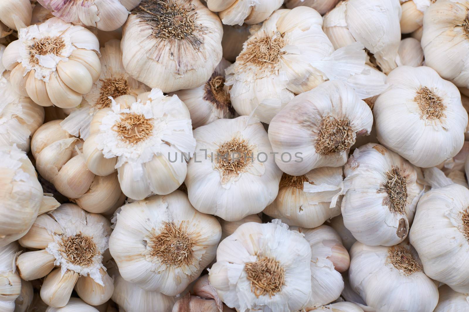 Garlic for sale on Provence market, Marseille city, South France