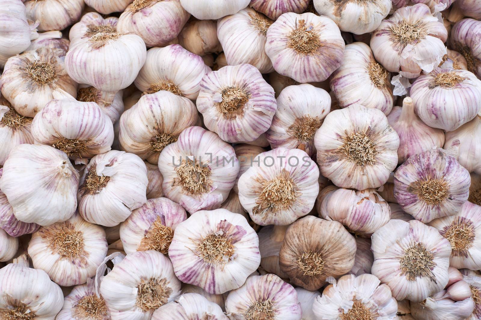 Garlic for sale on Provence market, Marseille city, South France