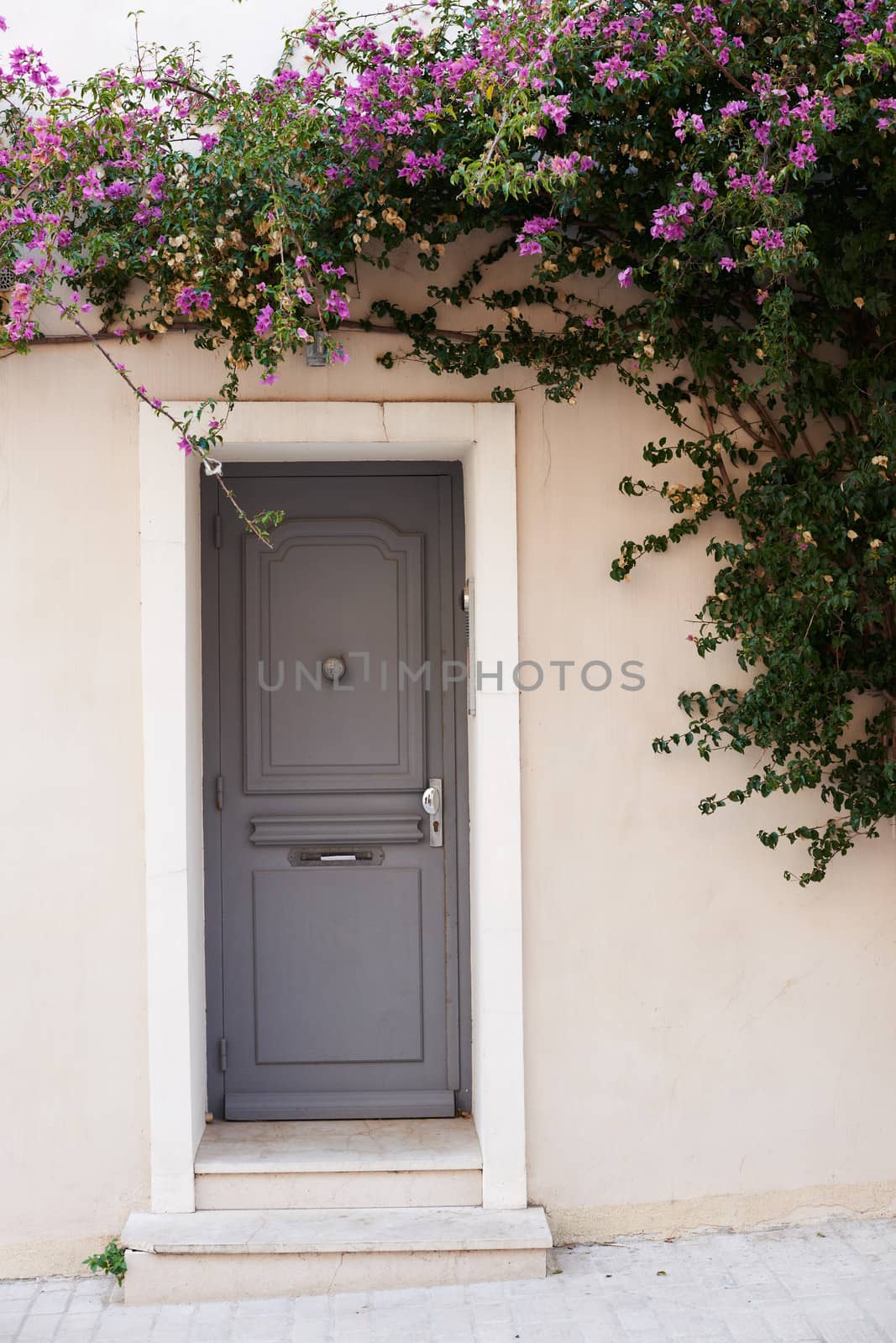 Home door in Saint Tropez by ecobo