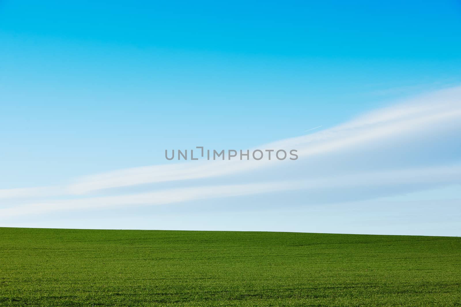 Spring scenery with green grass and blue sky