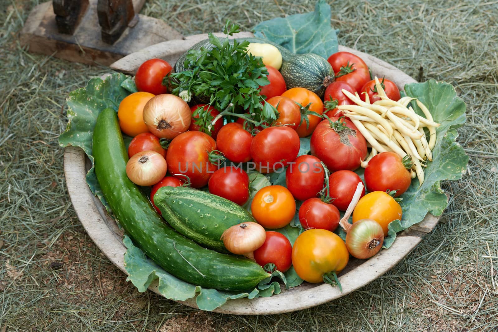 Bio vegetables crops in eco garden, fresh natural products