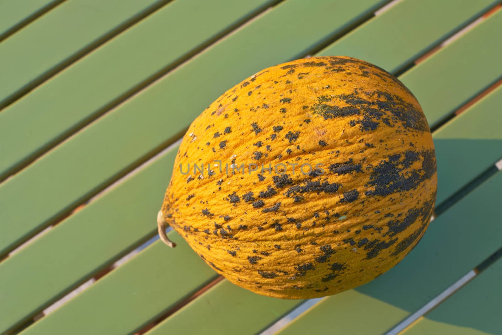 Yellow ripe melon by ecobo