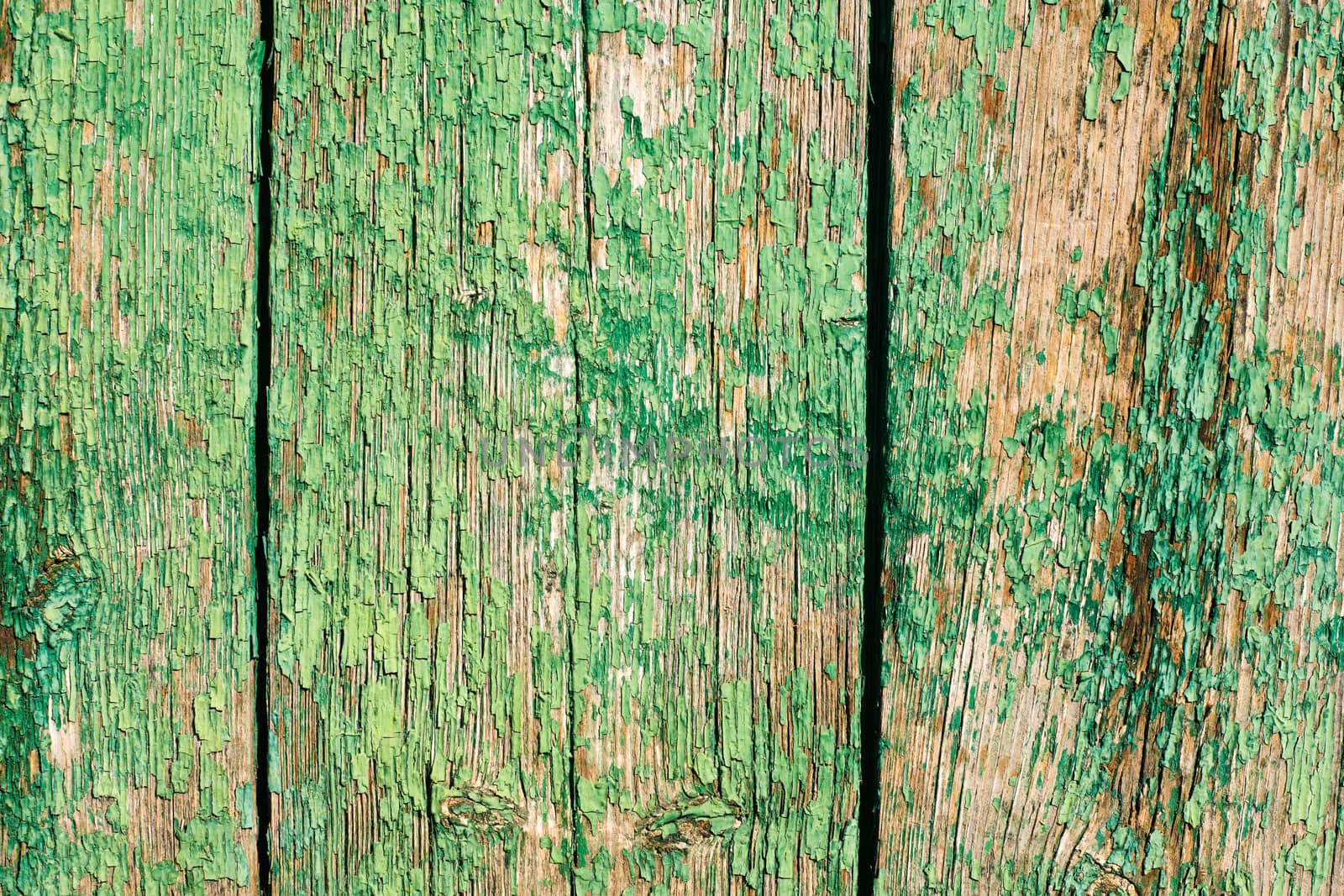 Old cracked green paint on wooden surface textured background