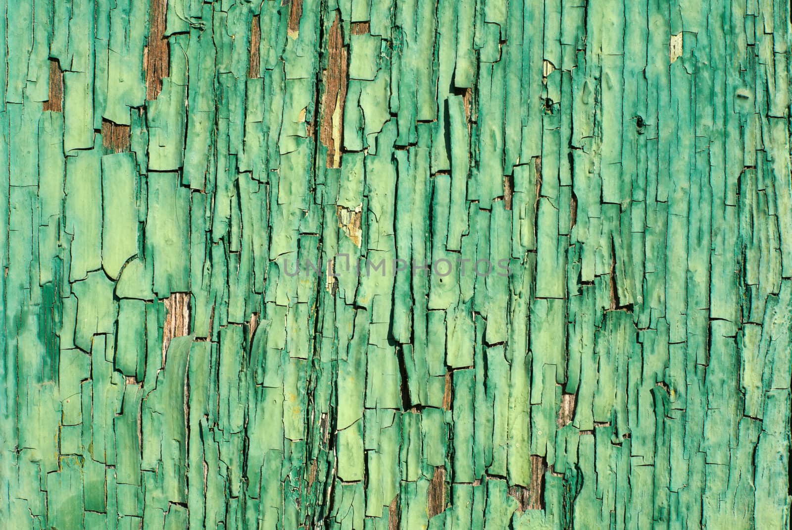 Old cracked green paint on wooden surface textured background close-up