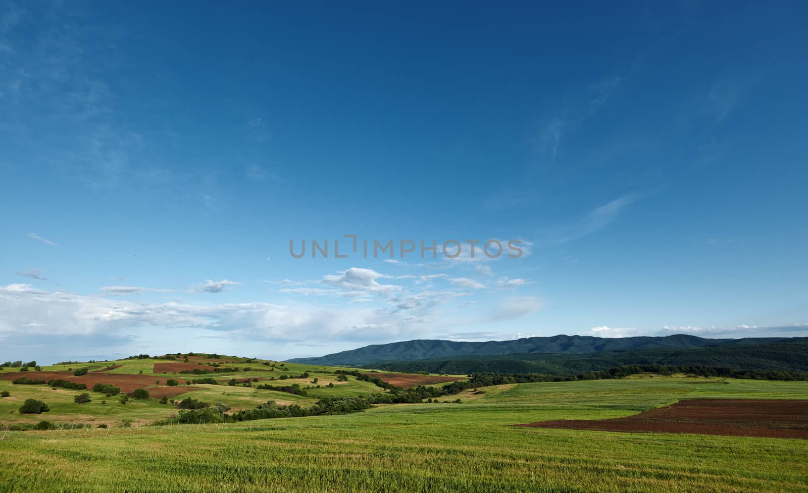 Spring landscape scenery with green field and blue sky