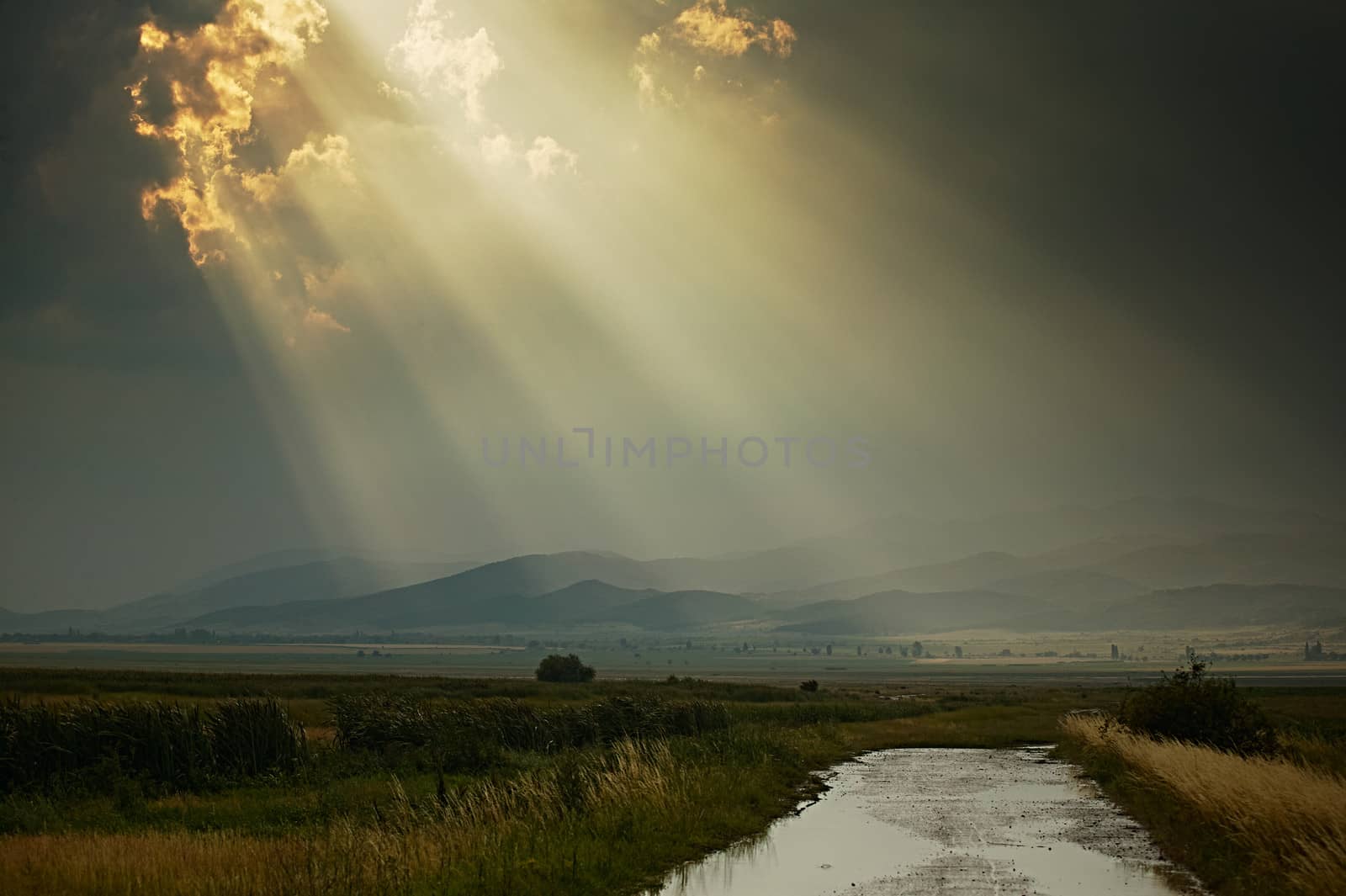 Scenery with sun rays after rain at sunset