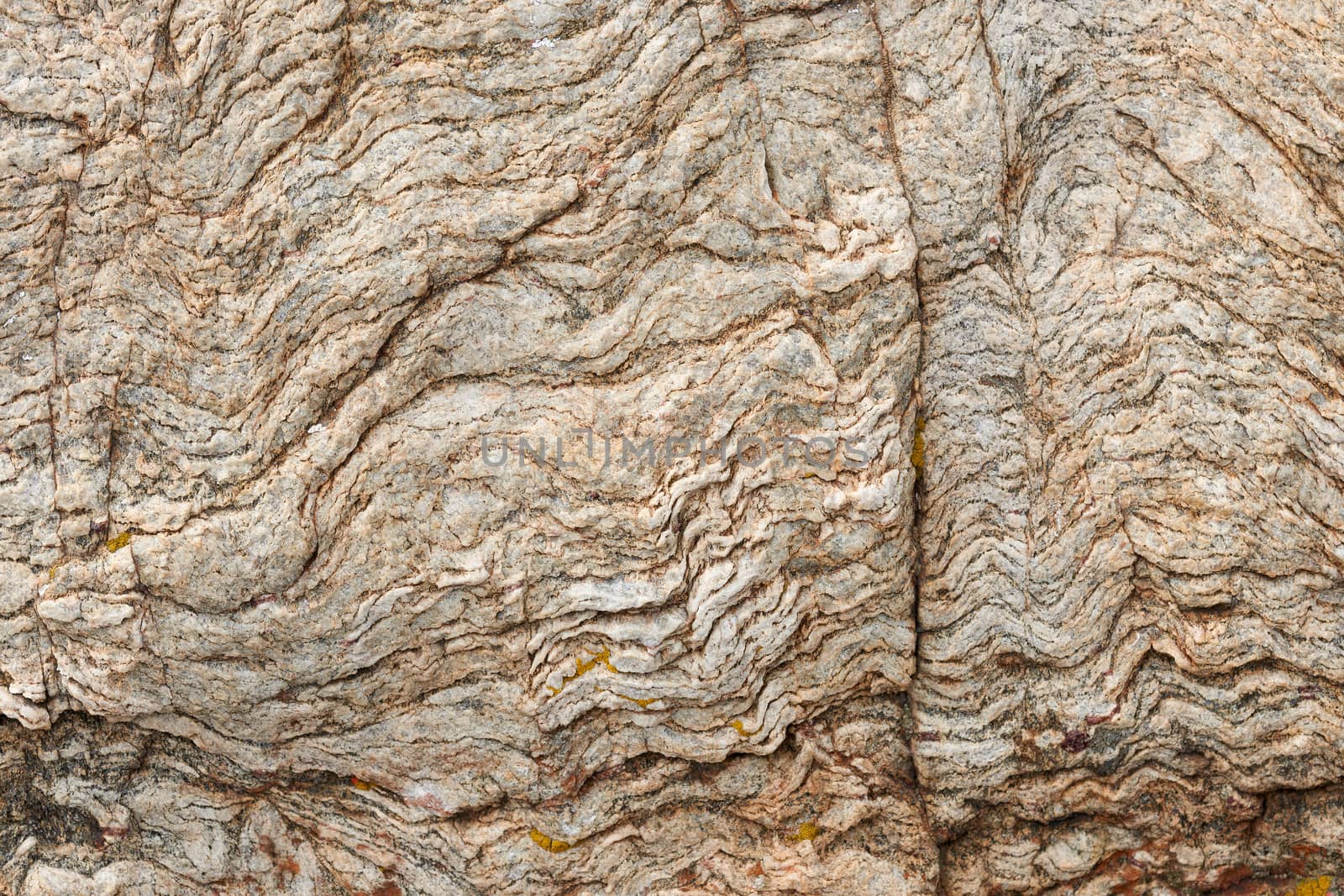 Texture of magma rock on land surface close-up