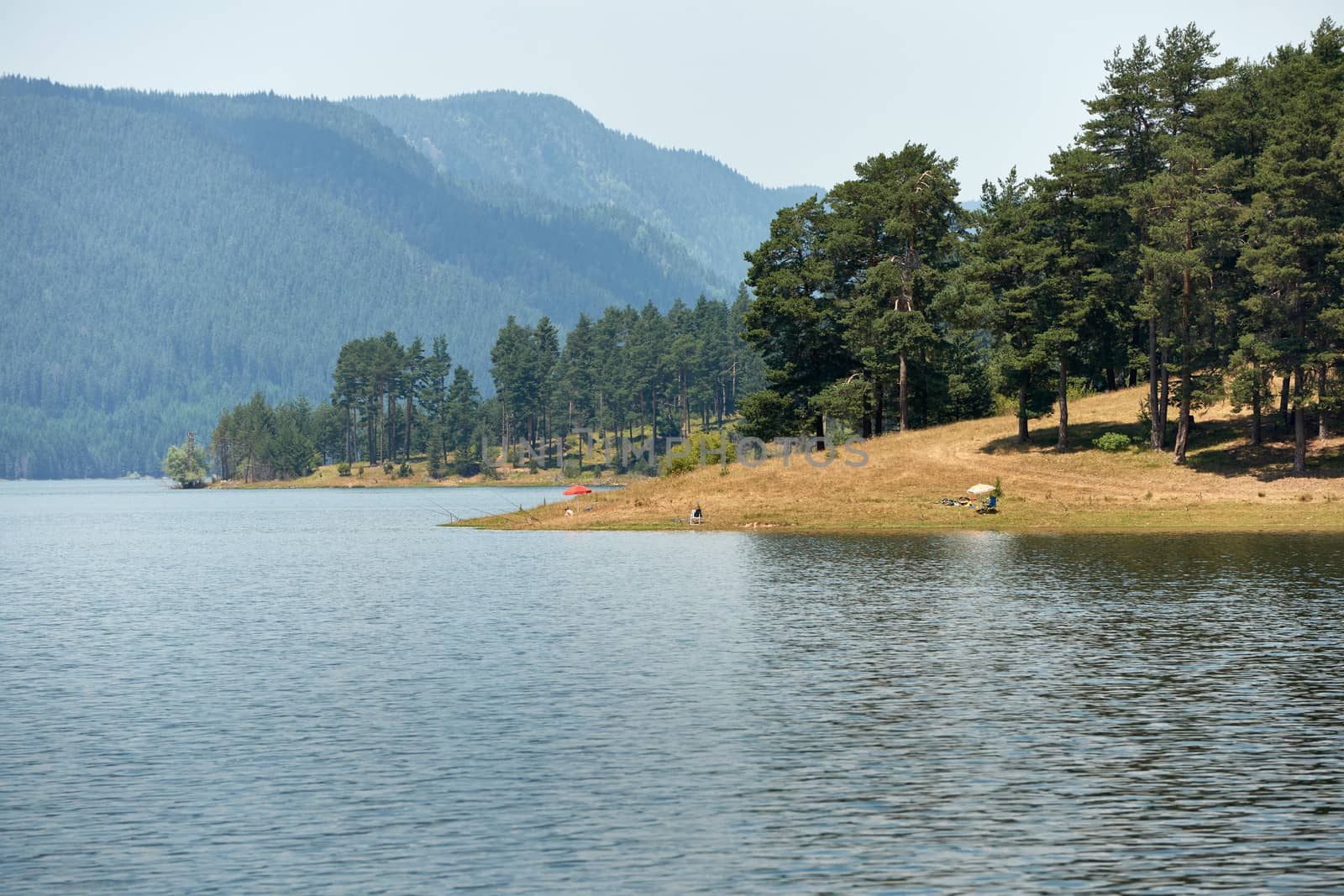 Summer scenery of Dospat lake in Rhodope mountains, Bulgaria