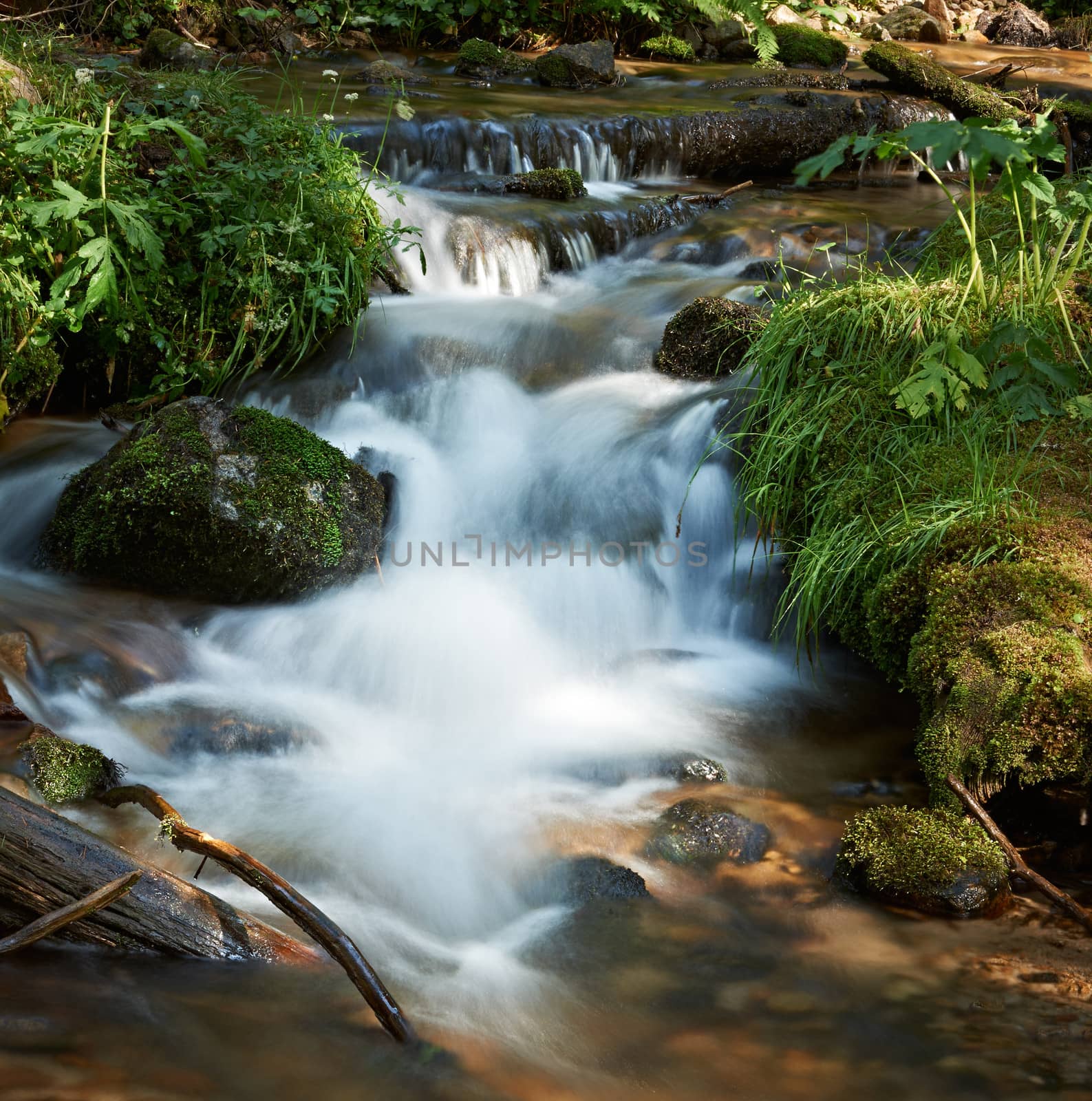 Water of mountain stream in national nature park Pirin in Bulgaria