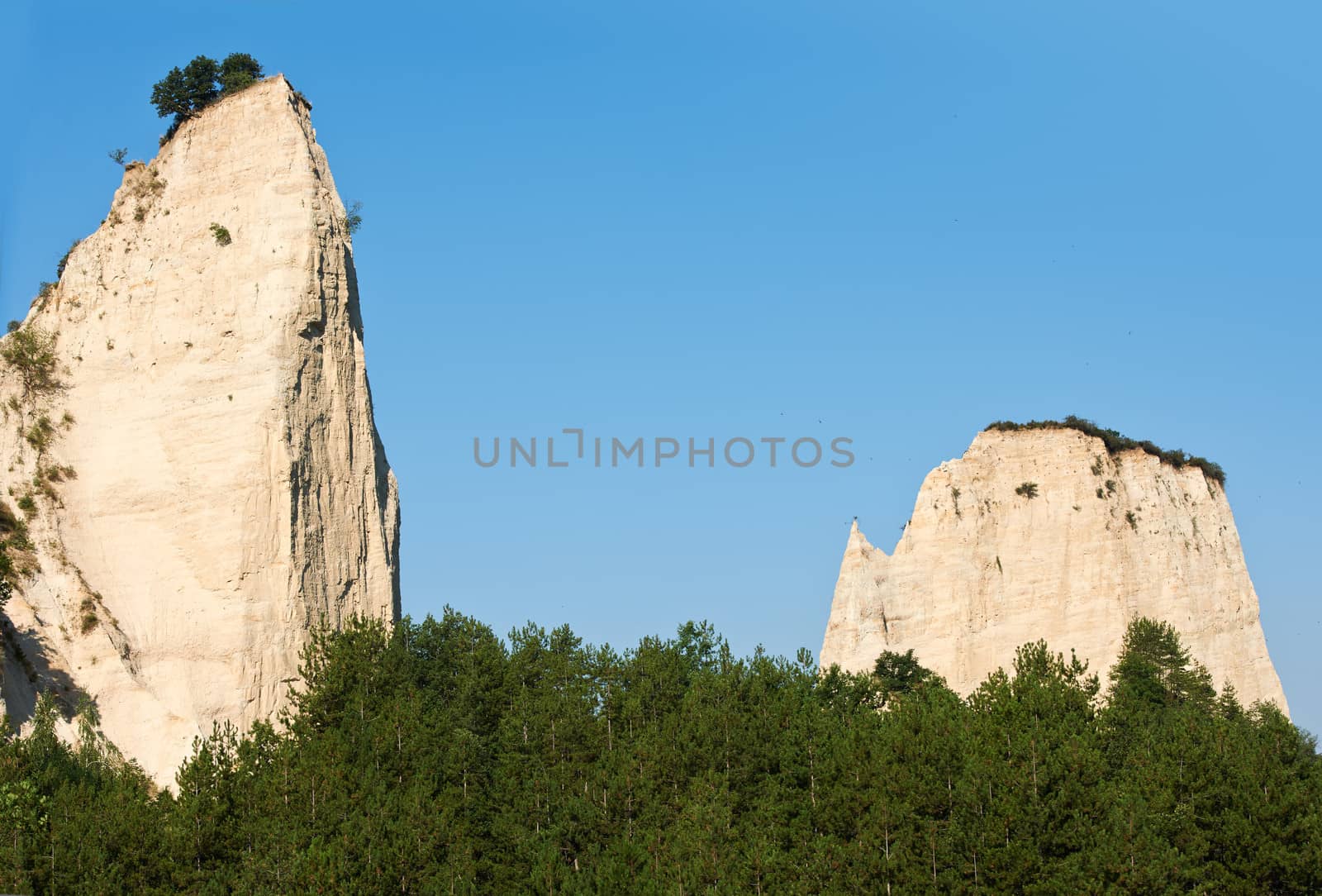 Stone phenomenon in Melnik, Bulgaria, limestone rocks over the pine trees