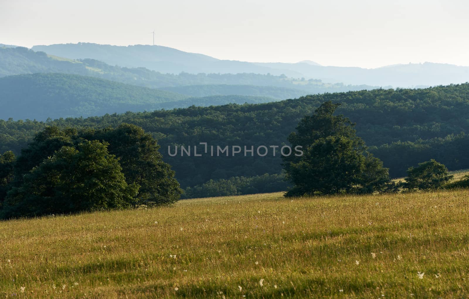 Summer landscape from central Bulgaria near Zheravna village, Sliven region