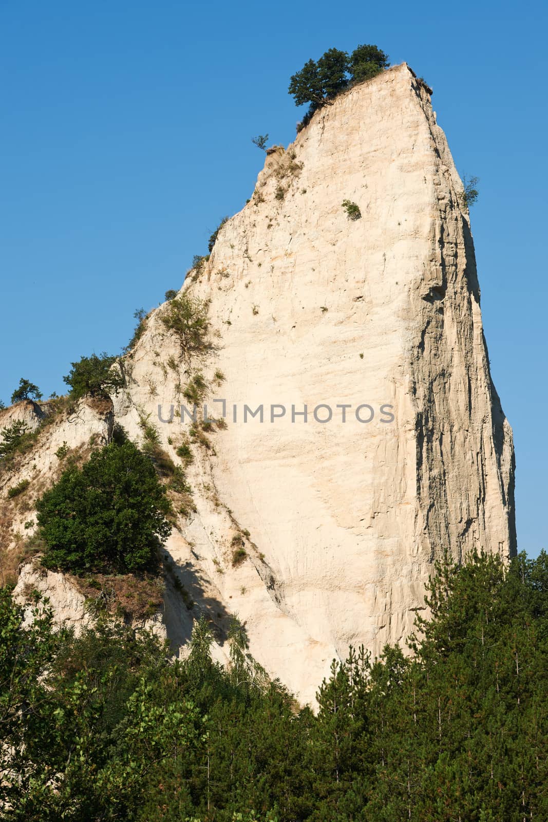 Stone phenomenon in Melnik, Bulgaria, limestone rocks over the pine trees