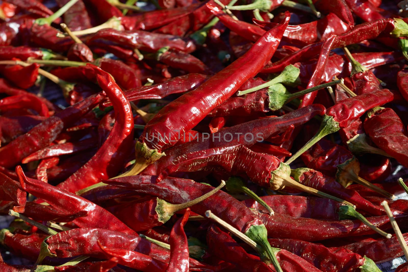 Red dry chili peppers by ecobo