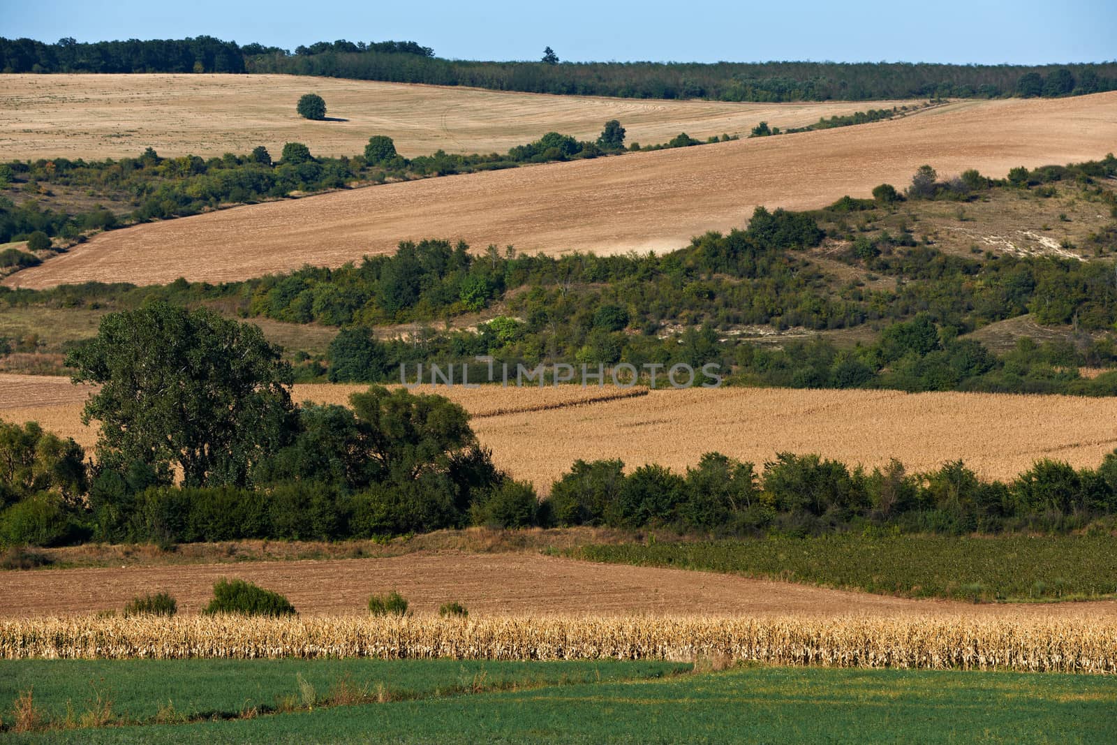 Landscape from Danube valley, Nort Bulgaria in late summer season.