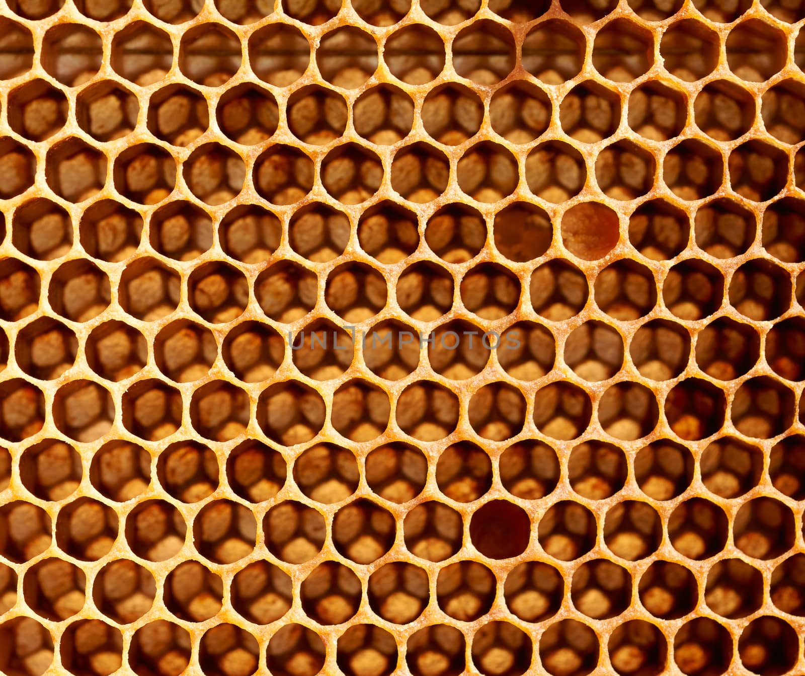 Honeycomb by ecobo