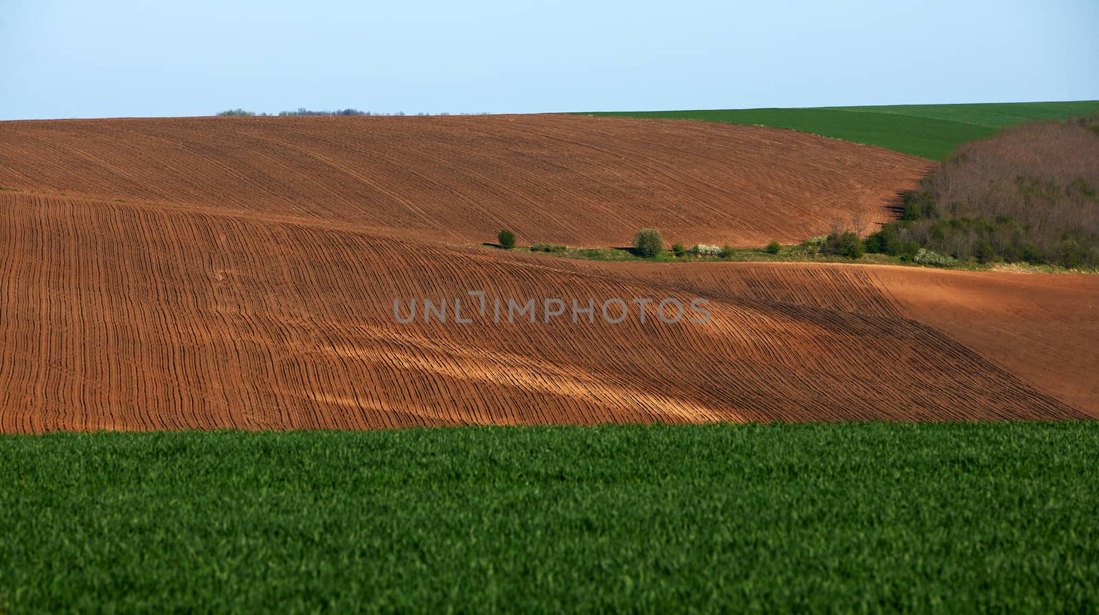 Cultivated land in North Bulgaria early spring season ready for crops