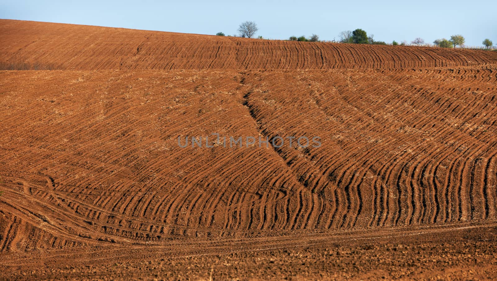 Cultivated land in North Bulgaria early spring season ready for crops